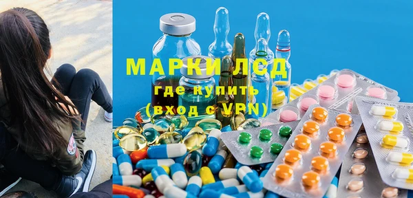 прущие грибы Алзамай