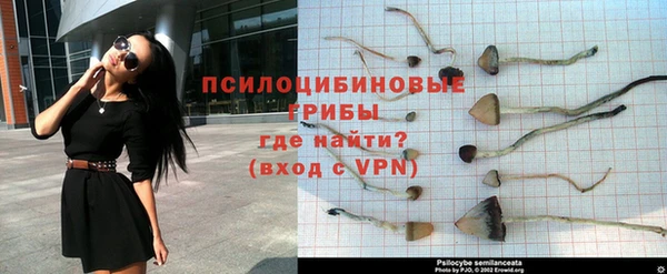 прущие крисы Абаза
